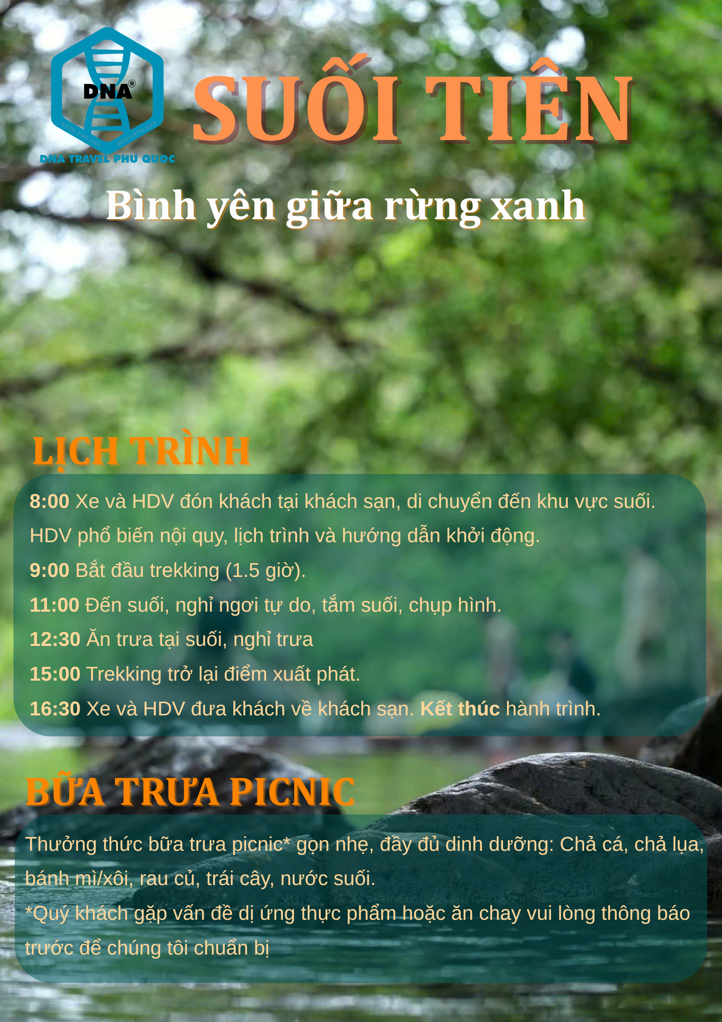SUỐI TIÊN – BỎ PHỐ VỀ RỪNG, TÌM LẠI CHÍNH MÌNH